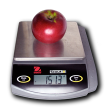 McIntosh apple on an electronic balance reading 151.3 grams
