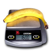 Cavendish banana on an electronic balance reading 160.0 grams