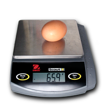 Large chicken egg on an electronic balance reading 65.9 grams
