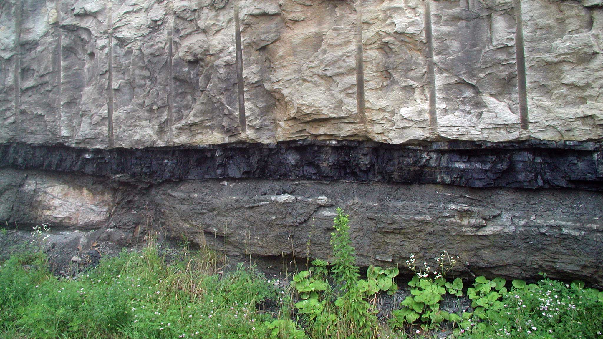 A coal seam in a face of exposed rock